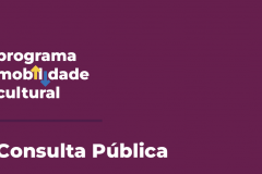 SEEC abre consulta pública para a segunda edição do edital Mobilidade Cultural