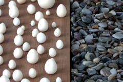 MAC Paraná encerra 2025 com retomada da sede histórica, expansão regional e programação comemorativa dos 55 anos