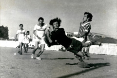 Visita guiada, futebol e cinema nacional integram programação gratuita do MIS-PR em junho