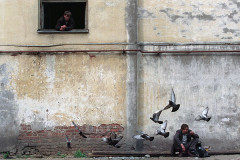 Exposição Serguei Maksimishin - o último império em cartaz no MON