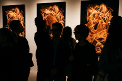 Bienal de Curitiba - 25 Anos terá prorrogação até março de 2019