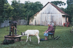 Exposição apresenta aquisições mais recentes do acervo do MON.