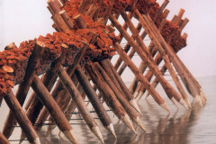 Duas exposições do MON são prorrogadas