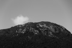 Ambientalismo, cinema e geografia em debate no Museu Paranaense