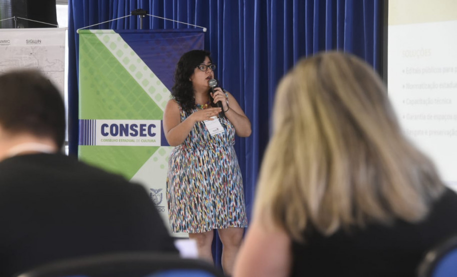 Resultado das Audiências Públicas de Cultura é tema da última reunião do CONSEC