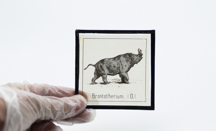 Slide para projeção em epidiascópio, séc. XX. Positivo em vidro. Acervo Museu Paranaense.