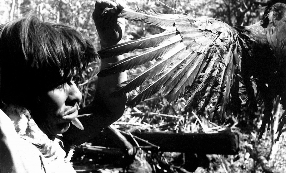 Mpko (foto do kozák). Etnia Xetá. Urubu utilizado em ritual, década de 1950. Coleção Vladimir Kozák. Acervo Museu Paranaense. Foto de Vladimir Kozák.