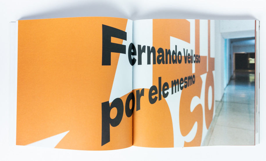 Catálogo Fernando Velloso por ele mesmo