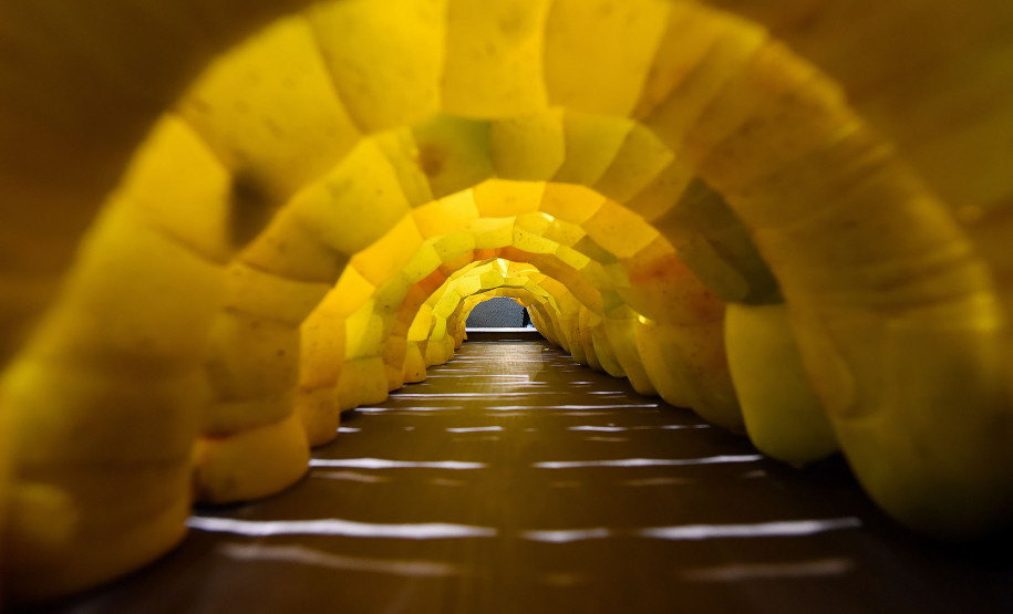 Schwanke, uma Poética Labiríntica