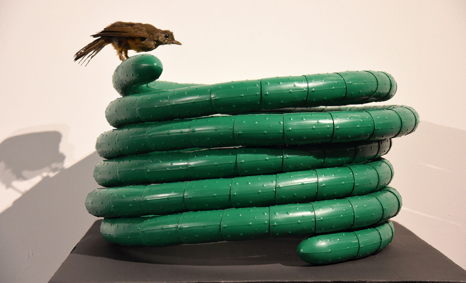 Schwanke, uma Poética Labiríntica