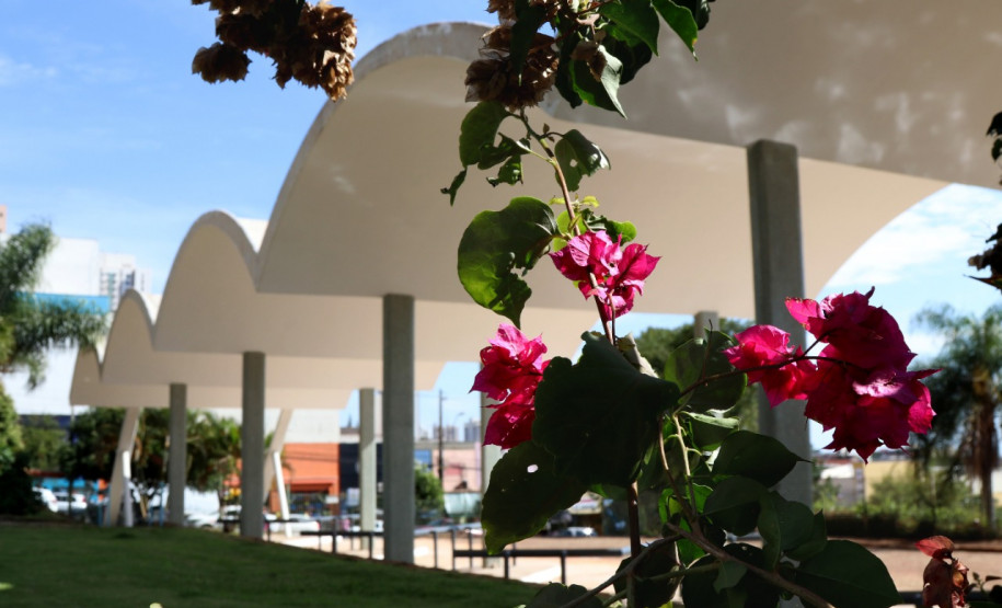 Fachada do Museu de Londrina