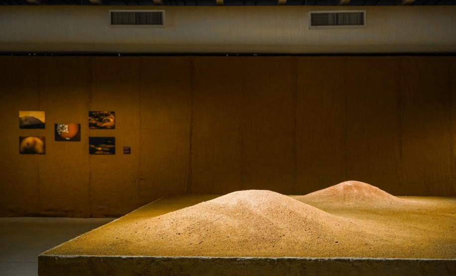 Obra da mostra Radical, de Sônia Dias