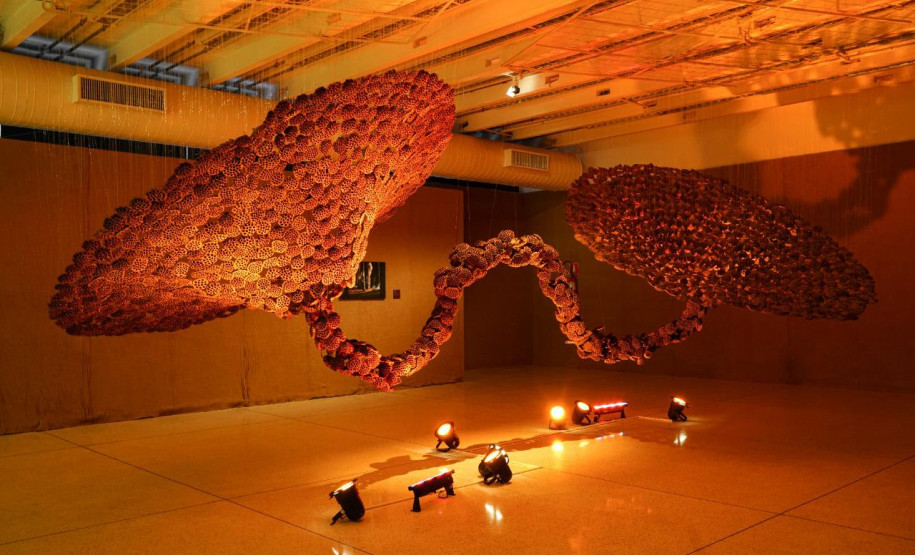 Obra da mostra Radical, de Sônia Dias