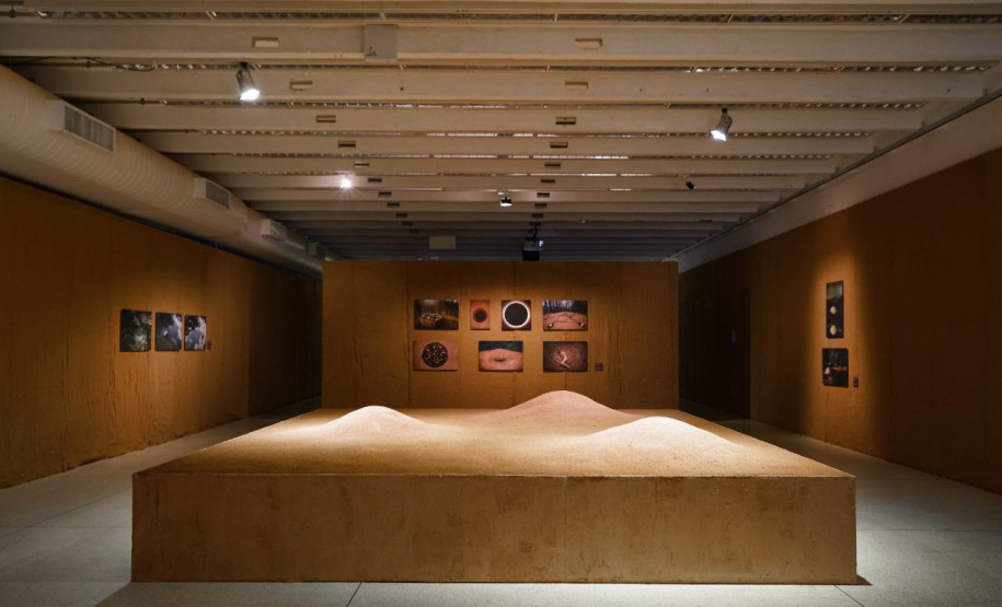 Obra da mostra Radical, de Sônia Dias