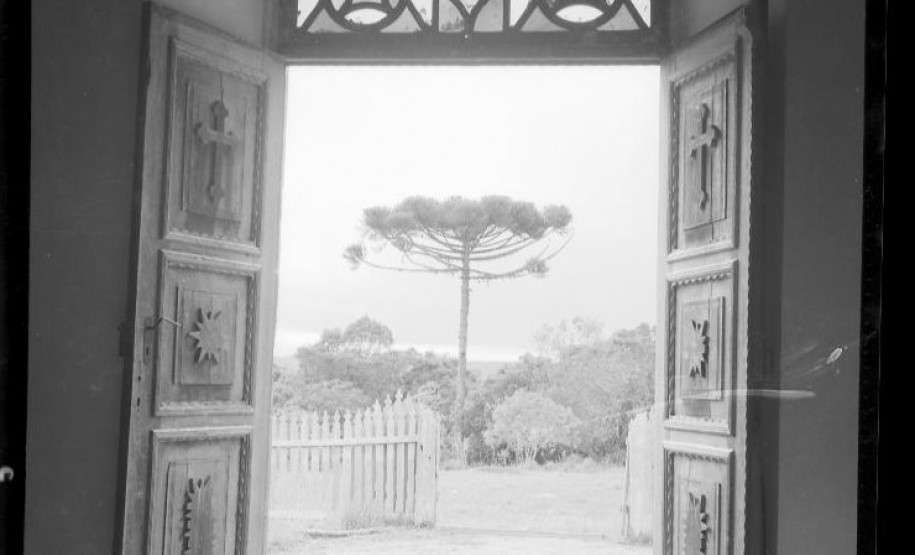 Pinheiro do Paraná na Janela