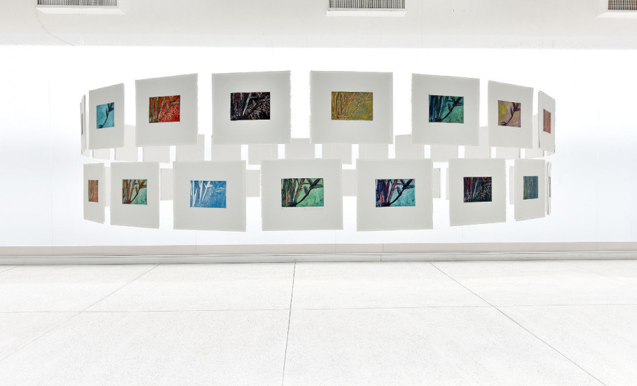 Exposição Verdeazul do MAC