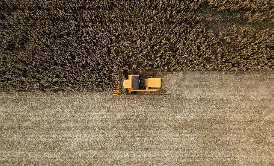 Foto vencedora do 14º Prêmio New Holland de Fotojornalismo