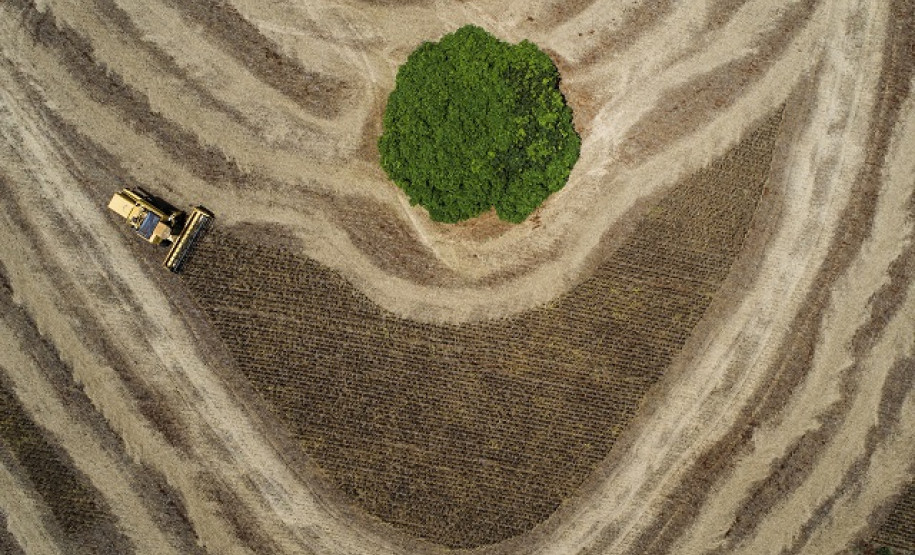 Foto vencedora do 14º Prêmio New Holland de Fotojornalismo