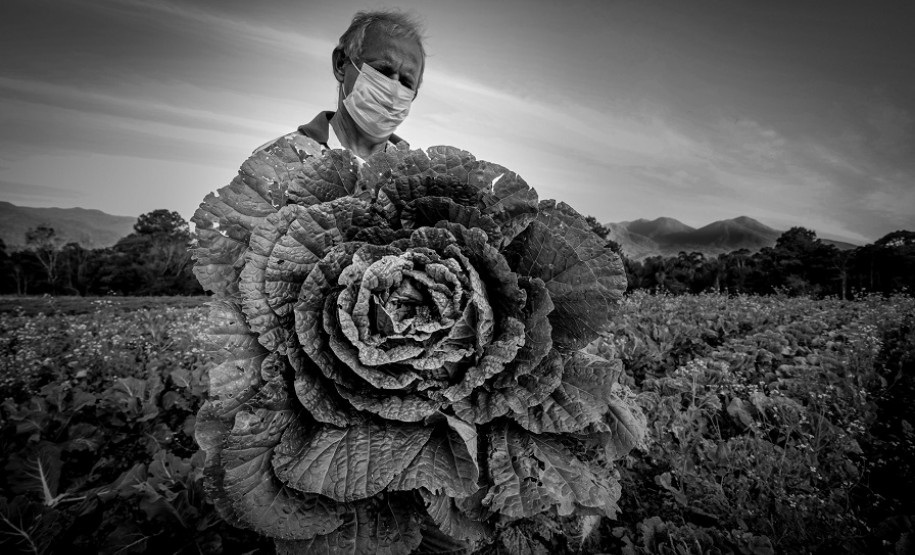 Foto vencedora do 14º Prêmio New Holland de Fotojornalismo