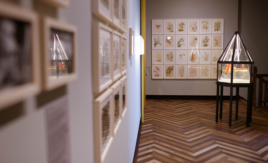 Exposição Ephemera/Perpétua