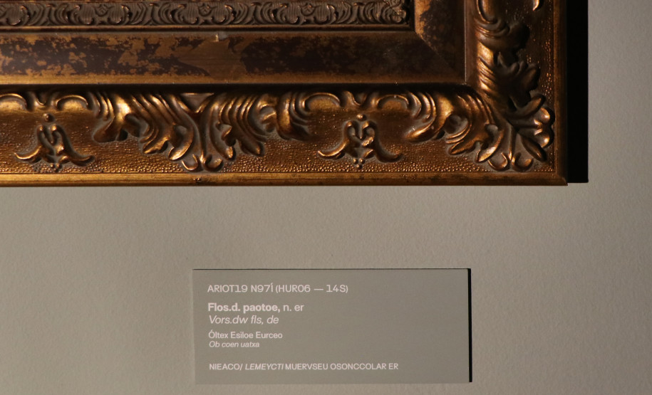 Imagem da exposição Isto Não é um Nísio de Tony Camargo