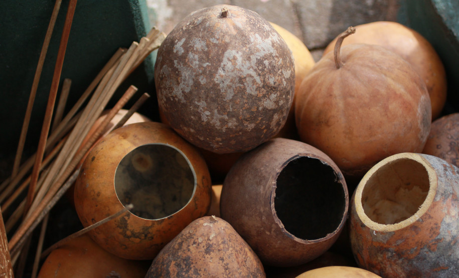 Cultura Paraná transmite encontro virtual sobre capoeira no Estado