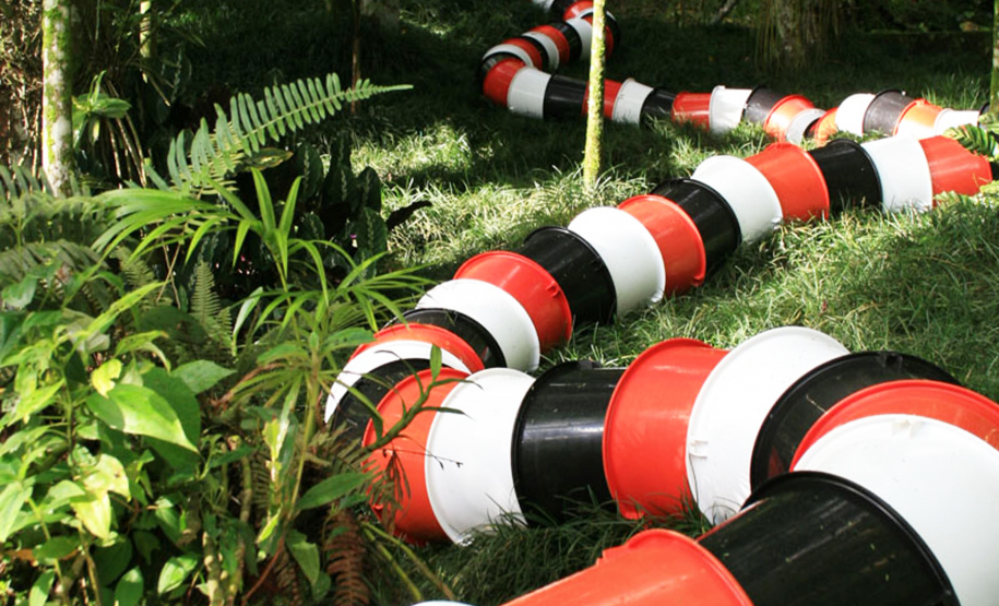 Cobra Coral de Luiz Henrique Schwanke