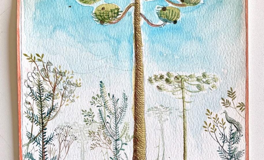 Obra Araucária de Alex Cerveny