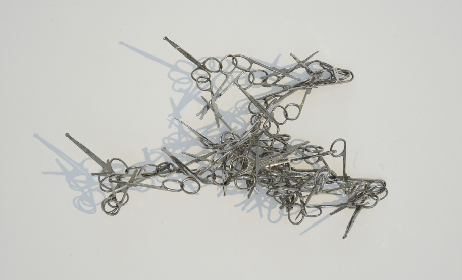 Obra de Eliane Prolik