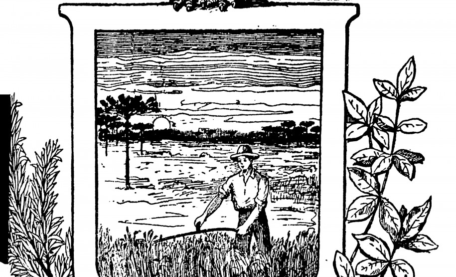 Brasão de armas do Paraná, 1910 execução do projeto de Alfredo Andersen.