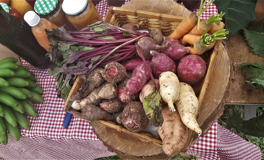 Feira de Sementes Quilombolas