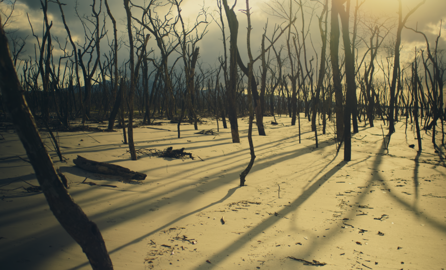 Paisagem do Litoral Paranaense
