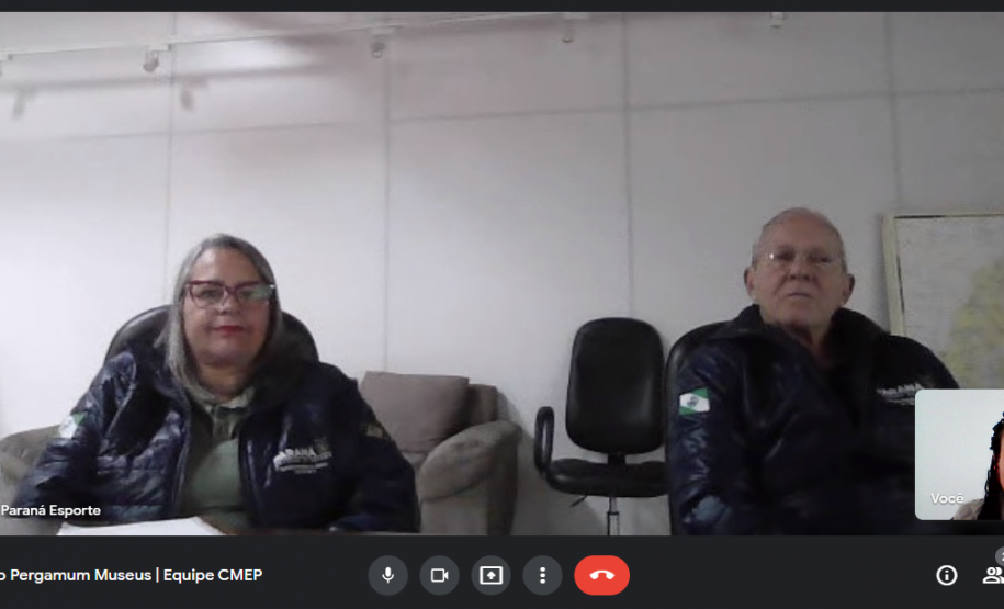 Treinamento remoto sobre plataforma Pergamum Museus