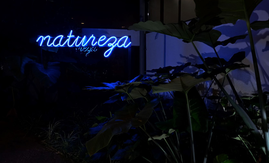 Detalha exposição Segunda Natureza, no MUPA.