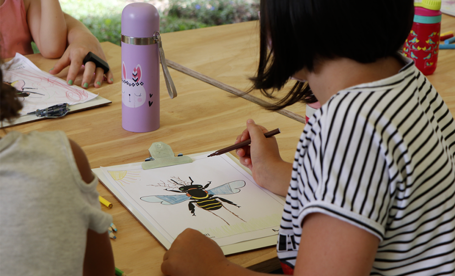 A programação de férias do Museu inclui oficinas, ações educativas, observação de abelhas e contação de histórias.