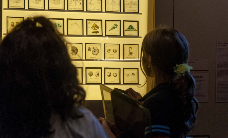 A programação de férias do Museu inclui oficinas, ações educativas, observação de abelhas e contação de histórias.