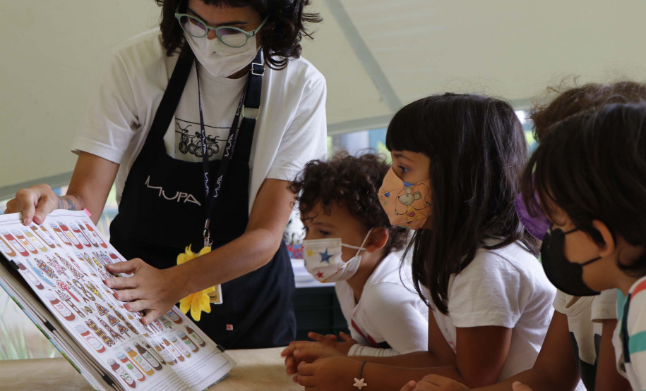 A programação de férias do Museu inclui oficinas, ações educativas, observação de abelhas e contação de histórias.