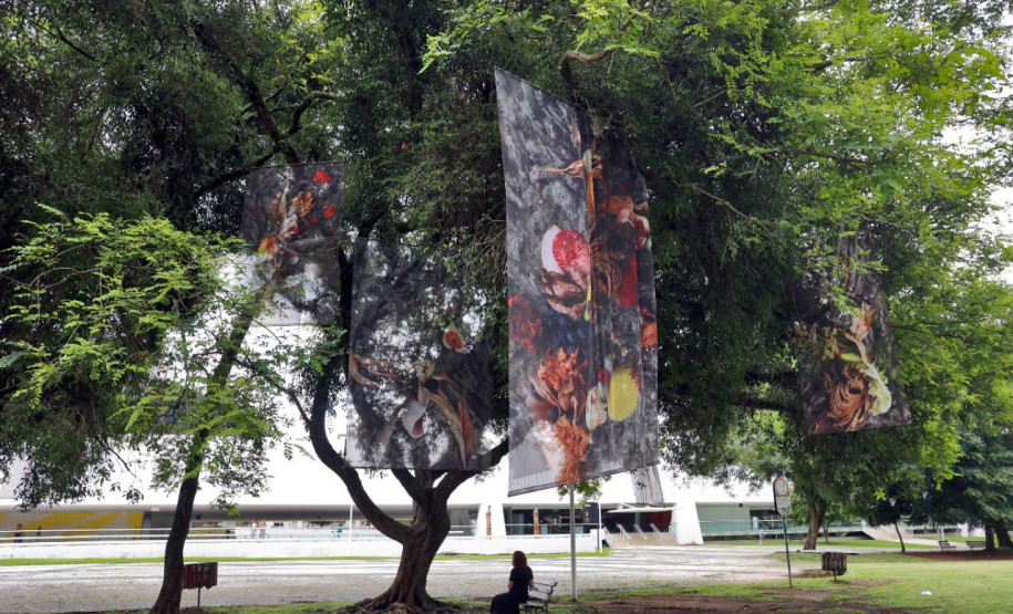 Museu Oscar Niemeyer leva arte para a área externa, num projeto inédito