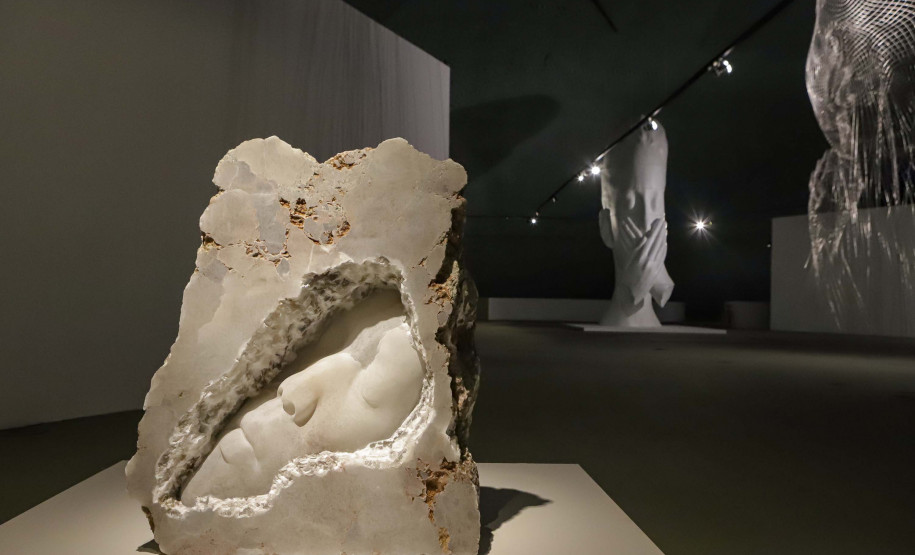 Com mais de 390 mil visitantes, MON registra público recorde em 2022; acervo é quintuplicado -