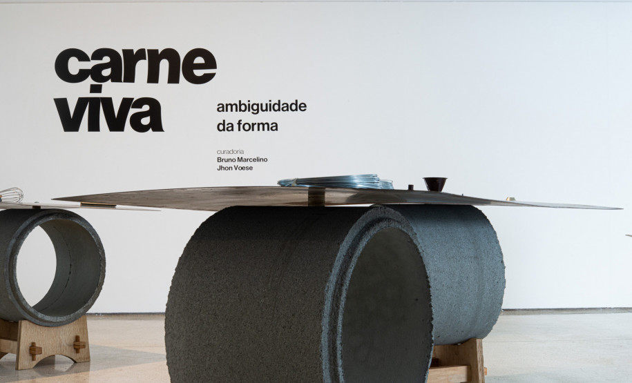 MON - Carne Viva - Ambiguidade da Forma