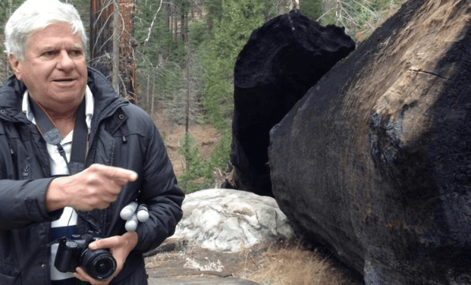 MIS-PR integra Festival de Curitiba com Mostra Warly Ribeiro