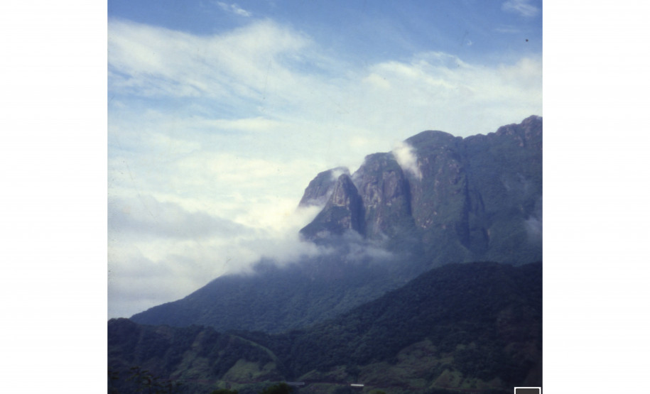 José Fernando Ogura