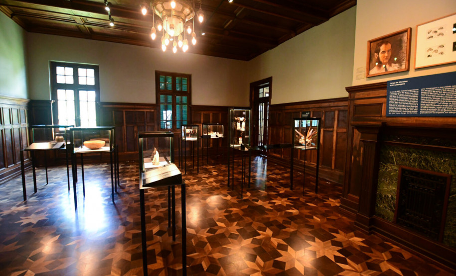 Programa Partiu Museu promove visitas guiadas para alunos da rede estadual do Paraná