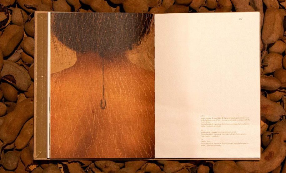 Festival de Curitiba, Detonautas, Toni Garrido e museus com estreias agitam agenda cultural