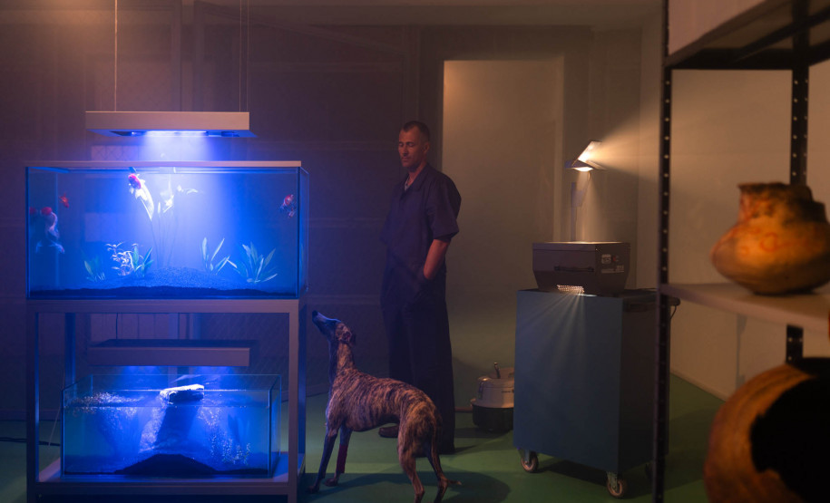 Museu Paranaense abre neste sábado inscrições para nova Ocupação do Espaço Vitrine