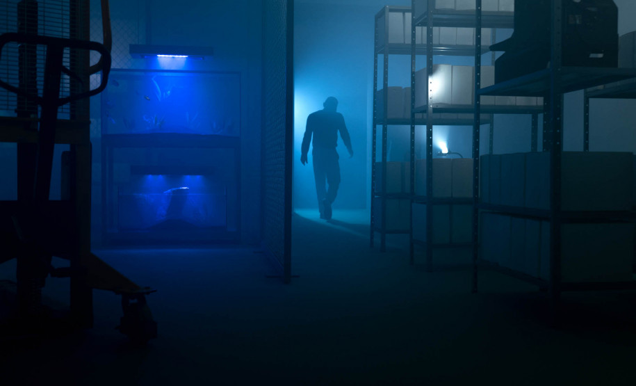 Museu Paranaense abre neste sábado inscrições para nova Ocupação do Espaço Vitrine