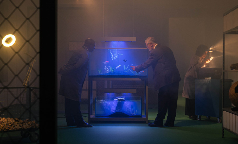 Museu Paranaense abre neste sábado inscrições para nova Ocupação do Espaço Vitrine