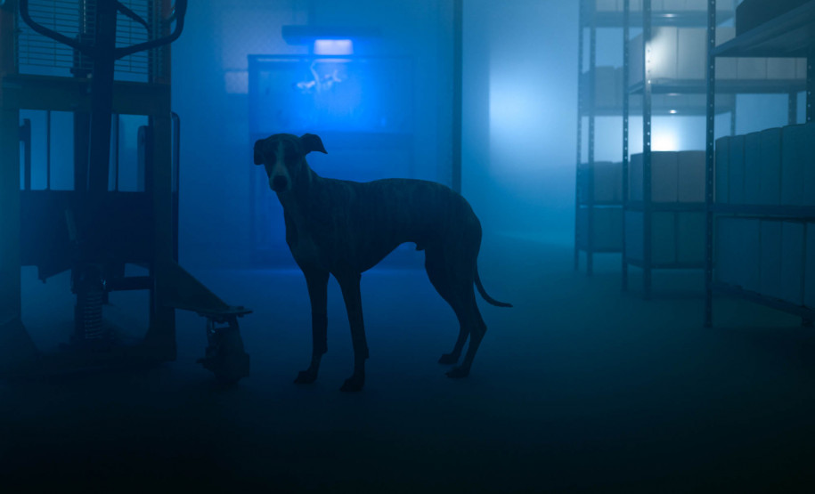 Museu Paranaense abre neste sábado inscrições para nova Ocupação do Espaço Vitrine