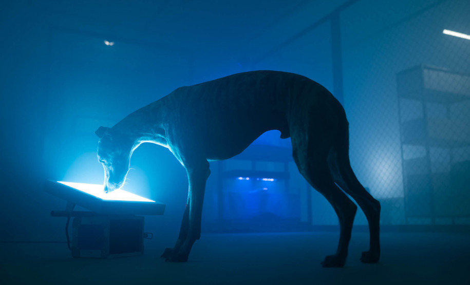 Museu Paranaense abre neste sábado inscrições para nova Ocupação do Espaço Vitrine