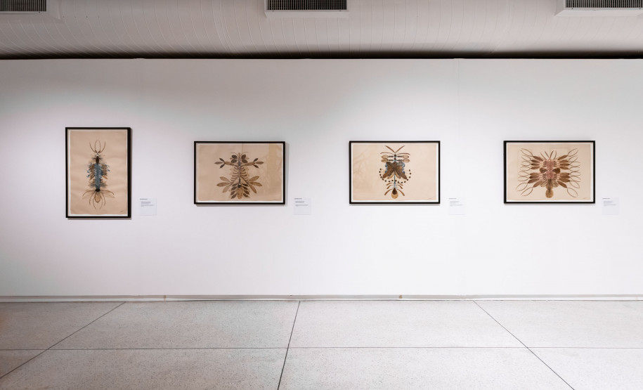 MON promove encontro para educadores sobre mostra da 35ª Bienal de São Paulo